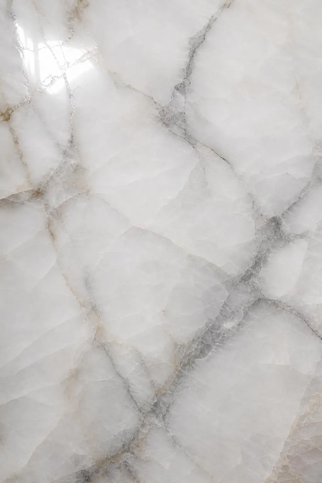 Polished white fantasy dolomite with elegant grey veining